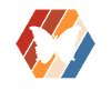 Papillon Rétro