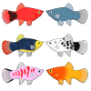 Platy's selection