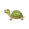 I love turtles water turtle