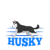 Husky Huskies dog owners