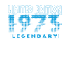 Limited Edition 1973 Graffiti