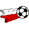 The Polish football fans