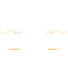 Influencer profession