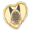 Coeur pour chats-Tomcat-Amour-Chats-Amour