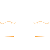 Politiker Beruf