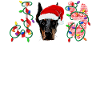 Miniatuur Pinscher Kerst Min Pin Xmas Gifts