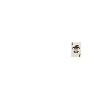 He is my Joker