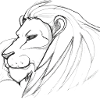 Lion drawing
