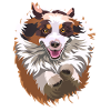 Aussie-Sprung