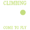 Climbing Flying