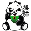 Little panda bear