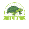 Reptile Lizards Reptile Lovers Gift
