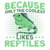 Lizards Reptile Reptile Lovers Gift