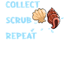 Collect - Soak - Scrub - Polish