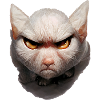 Creepy Cat