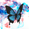 BUTTERFLY DESIGN