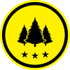 Tree Fir Forest