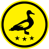 Duck animal