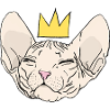 Sphinx Royal