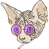 Sphinx Joplin