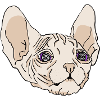 Sphinx Vertigo