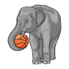 Elephant Basketball Player Basketball