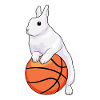 Rabbit Basketball Player Basketball