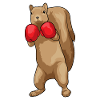 Eichhörnchen Boxer Boxhandschuhe