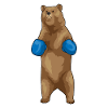 Bär Boxer Boxhandschuhe