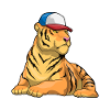 Tiger Student Cap School