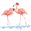Christmas Flamingos