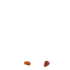 Papa Roi du bbq