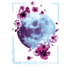 Moonlight Japanese Painting Retro Graphics