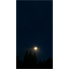 Dark