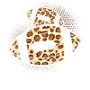 Leopard American Football Cheetah