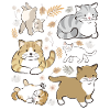 Chatons espiègles mignons