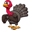 Adorable Turkey
