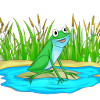 Frog Water Pond