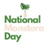 Monstera plants houseplants