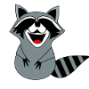 Raccoon smile