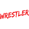 Grappling Martial Arts Wrestling