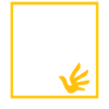 Human Rights Politics Freedom Demonstrating