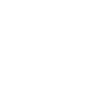 BJJ Jiu Jitsu