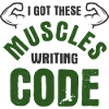 Software Ingenieur Informatiker Programmierer