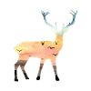 Cerf