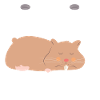 Nagetier Hamster