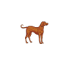 Redbone Coonhound Dog Gift