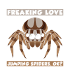 Jumping spider