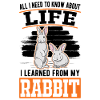 Rabbit Gift Rabbit Rabbit