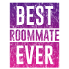 Best Roommate Ever 3